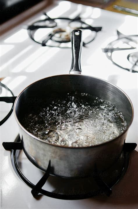 How To Boil Water Faster On A Gas Stove At Sandra Tillis Blog