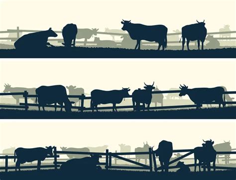 Cattle Herd Silhouette