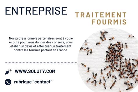 Villefranche sur Mer Société Désinsectisation nids fourmis SOLUTY