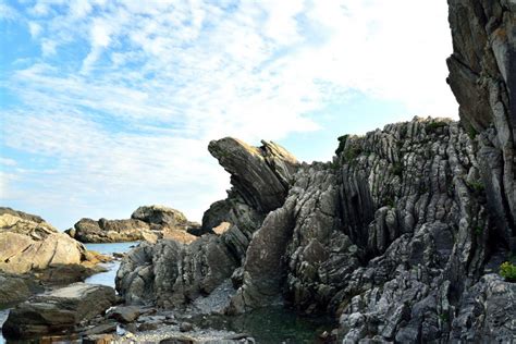 Nature Cape Muroto｜experience What To Do｜the Official Higashikochi