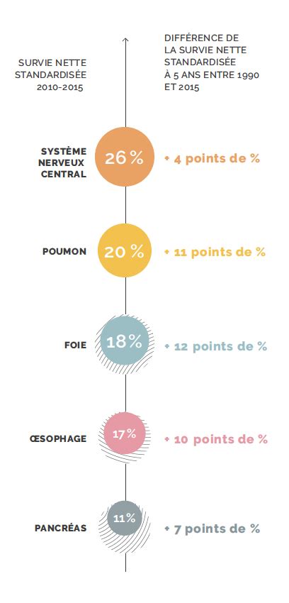 Panorama Des Cancers En France En Onko