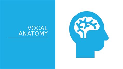 Vocal Anatomy - The Human Body | Teaching Resources