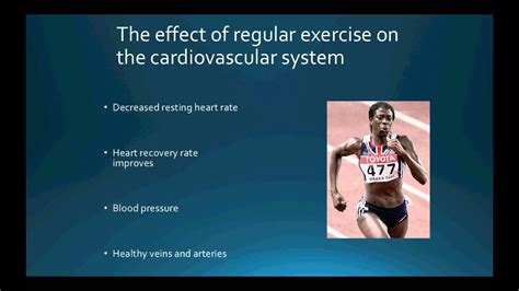 1 2 2 The Regular Effects Of Exercise On The Cardiovascular System Part