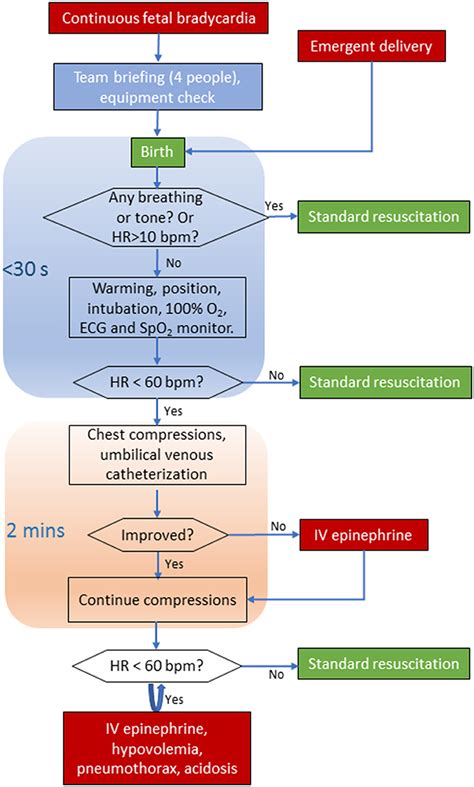 Neonatal Resuscitation Program Algorithm