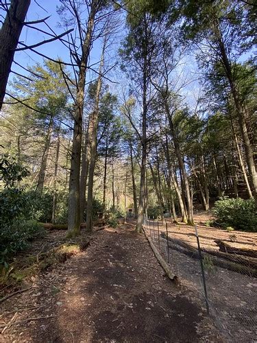 Trail To Wild Creek Falls Seen In Beltzville State Park W Flickr