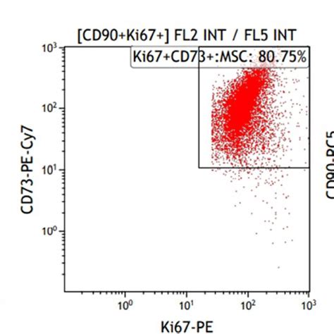 Cytometric Evaluation Of Cell Proliferation Using Ki67 In Analyzed Download Scientific Diagram