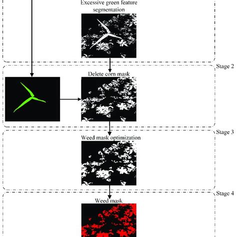 Flow Of Weed Recognition Algorithm Download Scientific Diagram