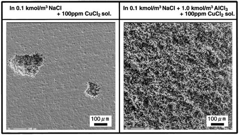 Sem Observation Of Surface Of Aluminum 1100 After Corrosion Experiment