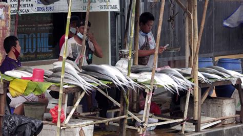 Ikan Bandeng Diserbu Jelang Imlek Vlix Id