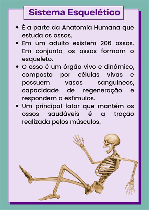 Sistema Esqueletico Mapa Mental 5