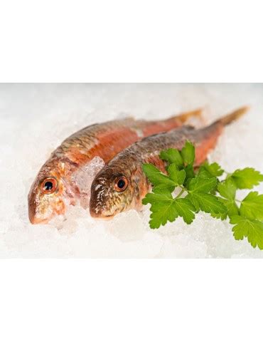 Salmonete Gallego Comprar Pescado Fresco Online