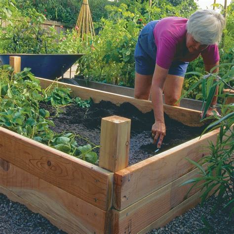 10 Inspiring Diy Raised Garden Bed Ideas Do It Yourself Ideas And