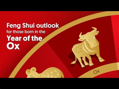 Ox The Chinese Zodiac Sign Characteristics And Off