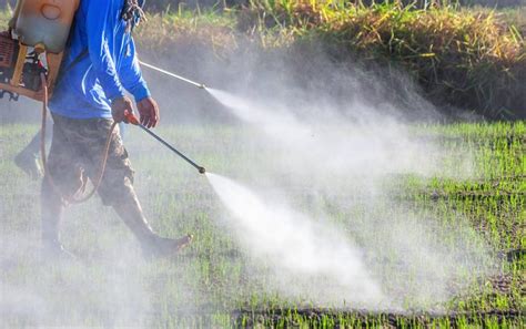 Tackling the global pesticide problem | Pesticide Action Network (PAN)