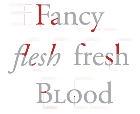 typography letter anatomy diagram quizlet