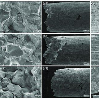 Sem Images Of The Fracture Surface After Tensile Tests Of The