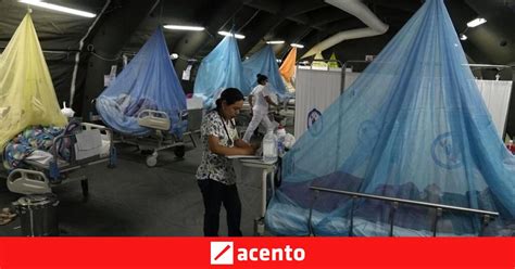 Perú busca controlar un mortal brote de dengue Acento