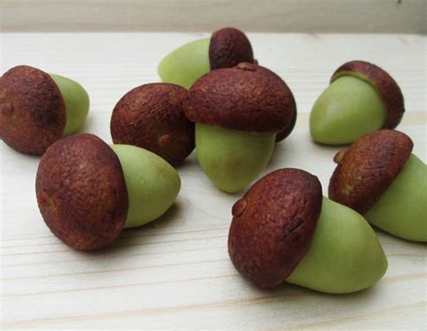 Marzipan Acorns 9 Fondant Acorns Fall Cake Decorations Etsy