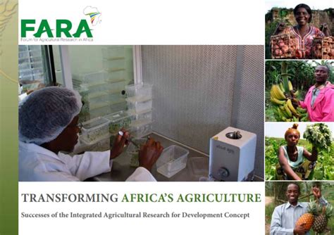 Transforming Africas Agriculture Successes Of The Integrated