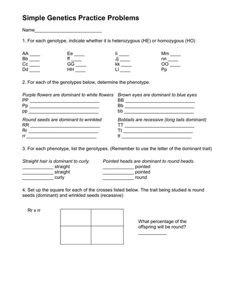 Genetics Practice Problems Abo Multiple Allele Worksheet Answers