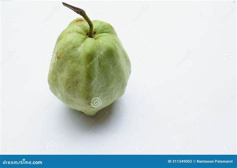 Fresh Green Raw Guava Psidium Guajava L Fruit Cut In Half Sliced