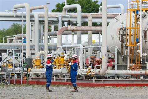 Penerapan Teknologi Ccus Di Pertamina Ep Sukowati Field Antara Foto