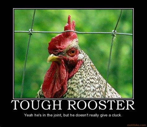 Funny Rooster Quotes. QuotesGram