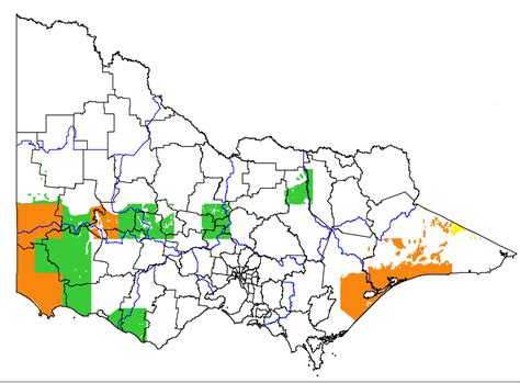 Kudzu Pueraria Montana Var Lobata Vro Agriculture Victoria