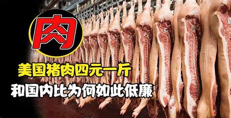 为什么美国猪肉4元1斤？美国猪肉为何如此低廉 知乎