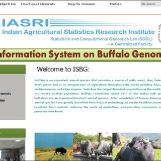 Dataflow Diagram Level Of Information System On Buffalo Genome