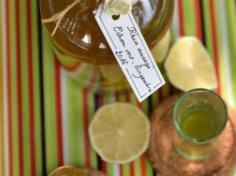 Boisson Alcoolisée Rhum Arrangé Citron Vert Gingembre Recette Par Une Aiguille Dans L Potage