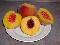 Santa Barbara Peach Trees