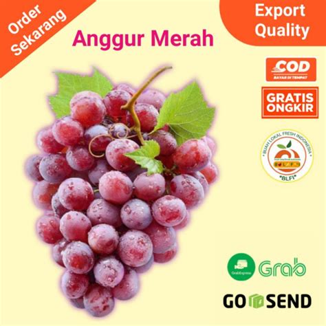 Jual Buah Anggur Red Globe Kg Shopee Indonesia