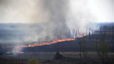 Alertan Sobre La Expansión Del Fuego En Islas Entrerrianas Por Las