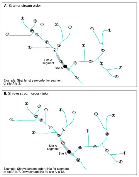 Examples Of How To Calculate A Strahler Stream Order And B Shreve