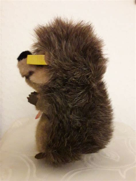 Steiff Igel Joggi 1677 14 KFS EBay