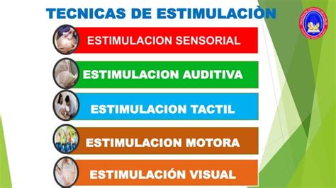 Estimulación Temprana Durante El Embarazo pptx