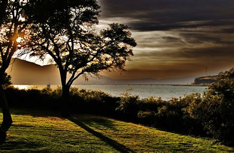 Free Images Landscape Tree Water Nature Grass Horizon Light