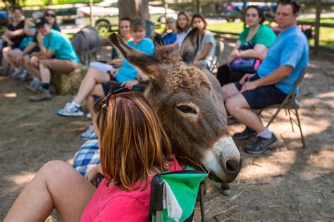 The Miniature Donkey Therapy Meet Up The New York Times