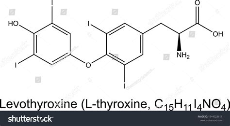 Levothyroxine Medication Lthyroxine Molecule Chemical Formula Stock