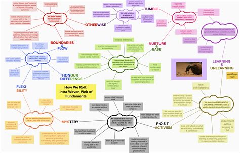 Dung Beetles: How We Roll / Intra-active Woven Web of Fundaments | The