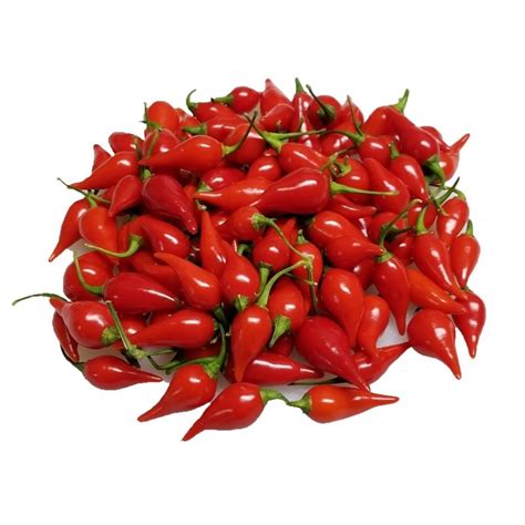 Graines De Piments Chupetinho Biquinho Rouge Ou Jaune Prix