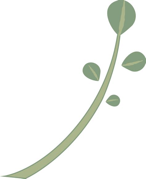 Irritable Bowel Syndrome - Nutrition to Nourish | Find Joy In The Journey