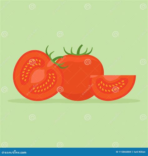 Sistema De Tomates Enteros Y Cortados Ejemplo Plano Del Vector Del Estilo Ilustración Del Vector