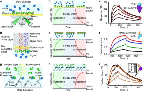 Label Free Methods For Optical In Vitro Characterization Of Protein