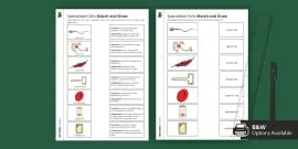 Labelled Cells Display Posters Twinkl Twinkl