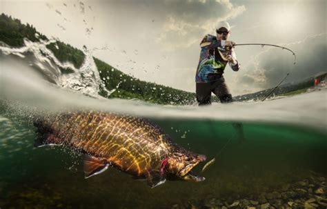 Tipos De Pesca Y Sus Caracter Sticas Gu A Completa