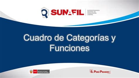 487841018 7 Cuadro De Categorias Y Funciones Pdfpdf