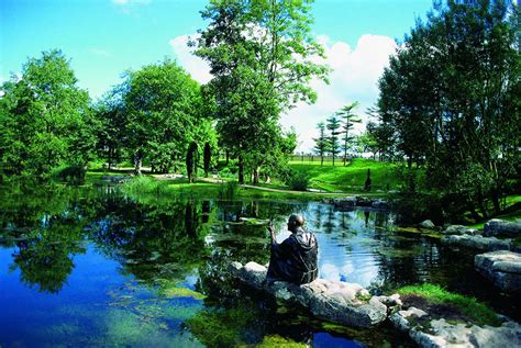 Plan Your Visit To The Irish National Stud And Gardens Kildare