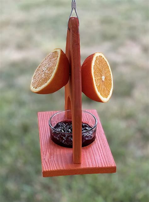 Petite Fruit And Jelly Oriole Feeder